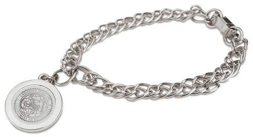 Charm Bracelet - Silver